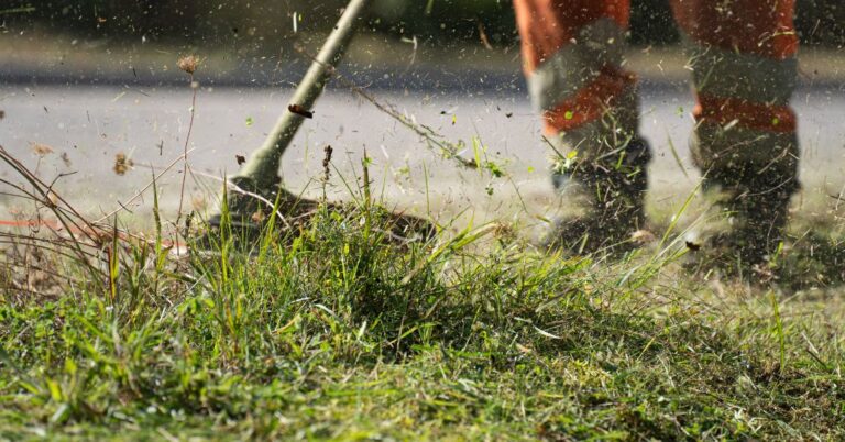 corte de grama em Blumenau