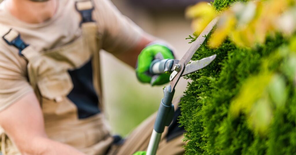 poda e plantio em Blumenau